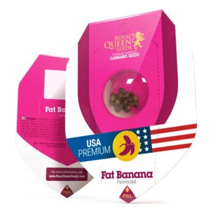 Fat Banana | Royal Queen Seeds
