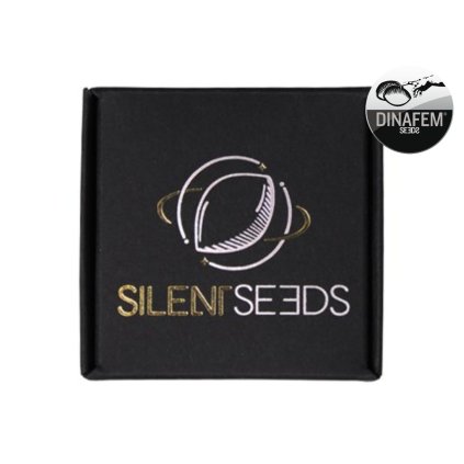 Amnesia Lemon – feminizovaná semena | Silent Seeds