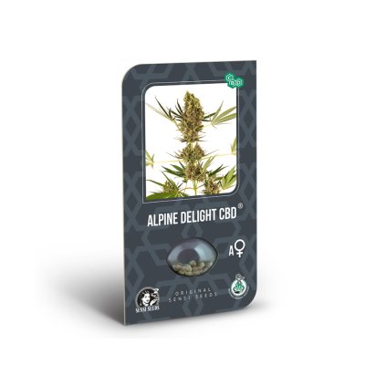 Alpine Delight AUTO CBD Auto – samonakvétací semena | Sensi Seeds