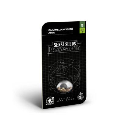 Caramelow Kush AUTO - Research Auto – samonakvétací semena | Sensi Seeds