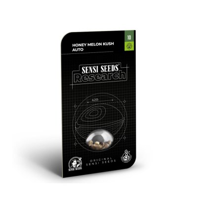 Honey Melon Kush AUTO - Research Auto – samonakvétací semena | Sensi Seeds