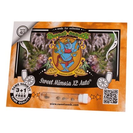 Sweet Mimosa XL AUTO Auto – samonakvétací semena | Sweet Seeds