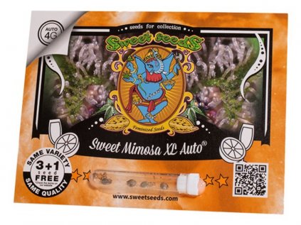 Sweet Mimosa XL AUTO | Sweet Seeds