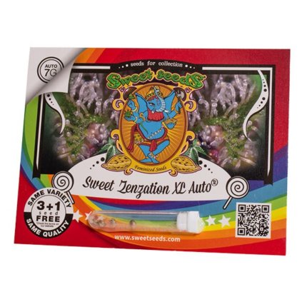 Sweet Zenzation XL AUTO® | Sweet Seeds