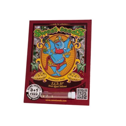 S.A.D. Sweet Afgani Delicious S1®  Feminizovaná Semena – rychlekvetoucí semena | Sweet Seeds