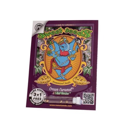 Cream Caramel F1 FAST Version® – rychlekvetoucí semena | Sweet Seeds