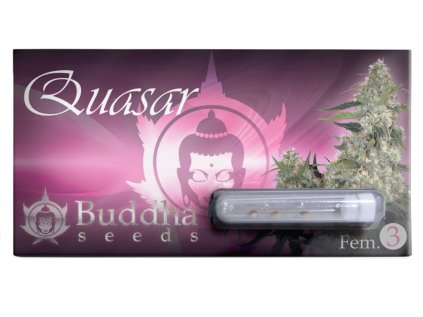 Quasar | Buddha Seeds