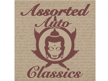 Assorted AUTO MIX Classics  | Buddha Seeds