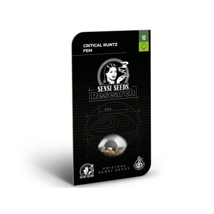 Critical Runtz - Research – feminizovaná semena | Sensi Seeds