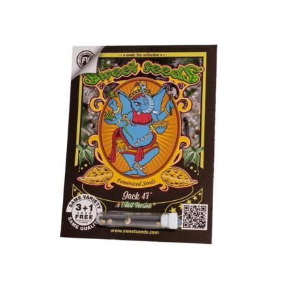 Jack 47 FAST – rychlekvetoucí semena | Sweet Seeds