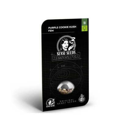 Purple Kush - Research – feminizovaná semena | Sensi Seeds