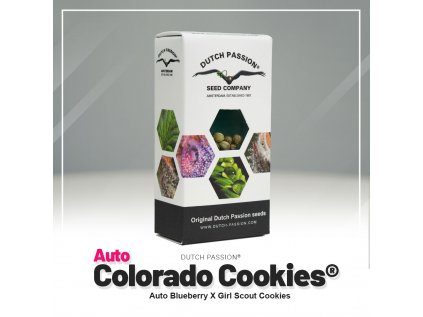 Colorado Cookies® AUTO | Dutch Passion