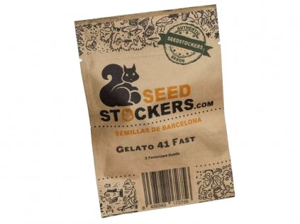 Gelato 41 FAST | Seedstockers ((Ks) Feminized 1)