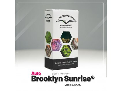 Brooklyn Sunrise® AUTO | Dutch Passion