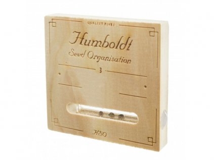 707 Truthband by Emerald Mountain | Humboldt Seed Organisation ((Ks) Feminized 3)