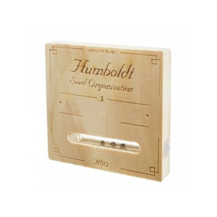 Bubba Cheese AUTO Auto – samonakvétací semena | Humboldt Seed Organisation