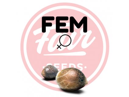 FEM FAIR SEEDS