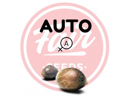 auto fair seeds