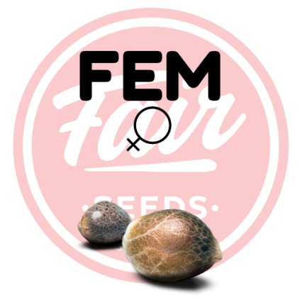 FEM FAIR SEEDS