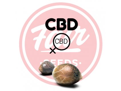 CBD FAIR SEEDS