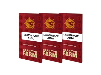 lemon haze auto packet