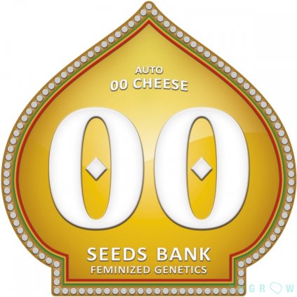 Cheese | 00 SEEDS BANK