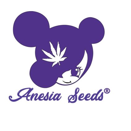 Elementz | Anesia Seeds