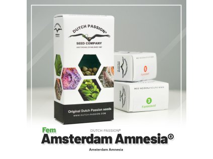 VÝPRODEJ | Amsterdam Amnesia® | Dutch Passion