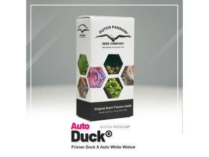 VÝPRODEJ | Duck® AUTO | Dutch Passion