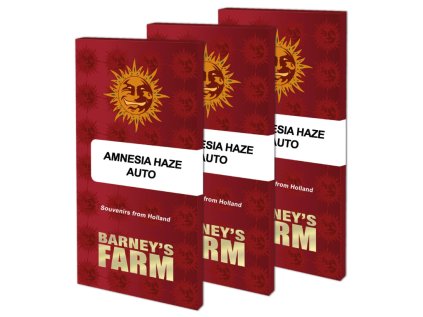 VÝPRODEJ | Amnesia Haze AUTO™ | Barneys Farm