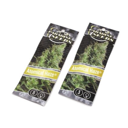 Atomical Haze – feminizovaná semena | Paradise Seeds