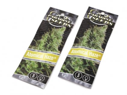 Atomical Haze | Paradise Seeds