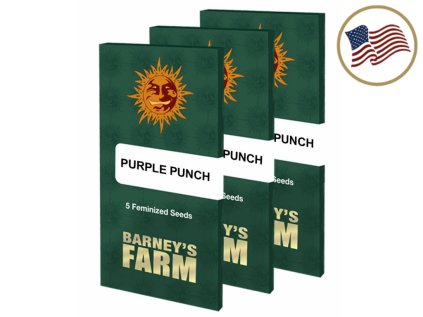 Purple Punch™ | Barneys Farm ((Ks) Feminized 10 + 3 Zdarma)