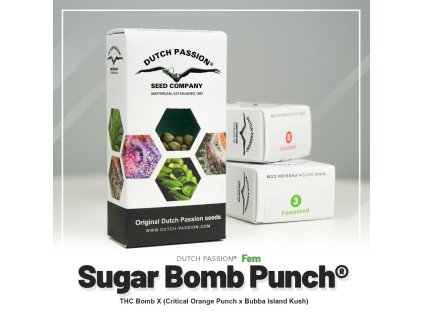 VÝPRODEJ | Sugar Bomb Punch® | Dutch Passion