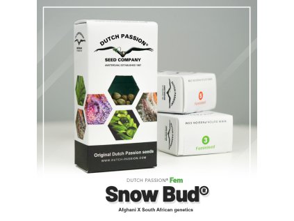 VÝPRODEJ | Snow Bud® | Dutch Passion