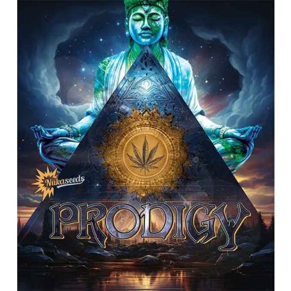 prodigy nukaseeds semenacannabis