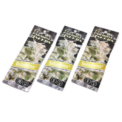 Belladonna – feminizovaná semena | Paradise Seeds