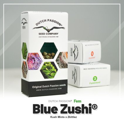 Blue Zushi dutch passion seed company semenacannabis cz