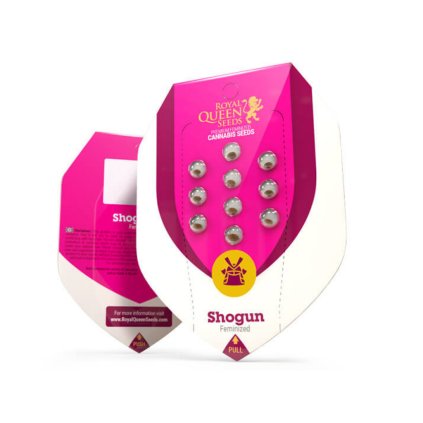 VÝPRODEJ – feminizovaná semena | Shogun | Royal Queen Seeds