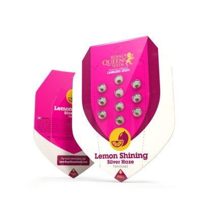 VÝPRODEJ – feminizovaná semena | Lemon Shining Silver Haze | Royal Queen Seeds