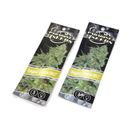 Original Cheese IBL | Paradise Seeds
