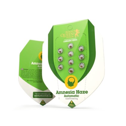 VÝPRODEJ Auto – samonakvétací semena | Amnesia Haze AUTO | Royal Queen Seeds