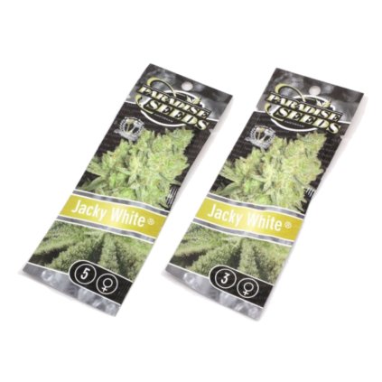 Jacky White | Paradise Seeds