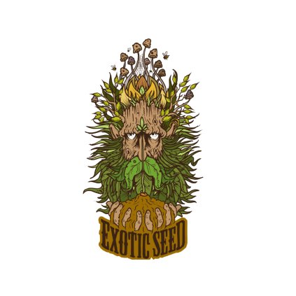 VÝPRODEJ | Hippie Therapy CBD (USA) | Exotic Seeds