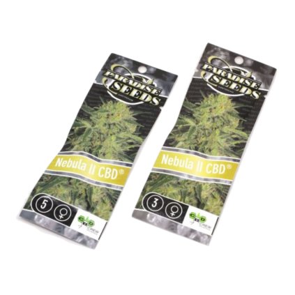 Nebula II CBD – feminizovaná semena | Paradise Seeds