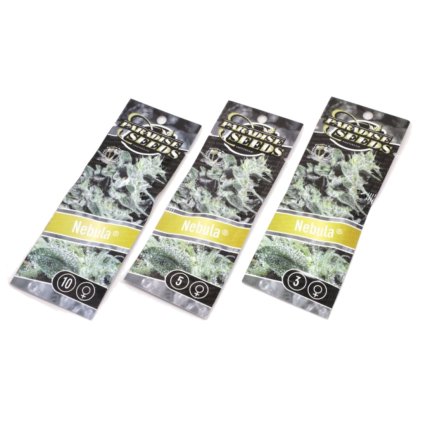 Nebula – feminizovaná semena | Paradise Seeds