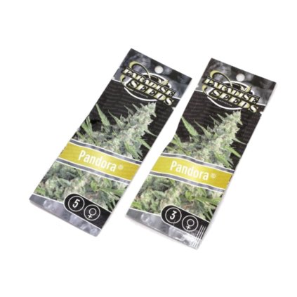 Pandora AUTO Auto – samonakvétací semena | Paradise Seeds