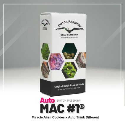 MAC AUTO semenacannabis