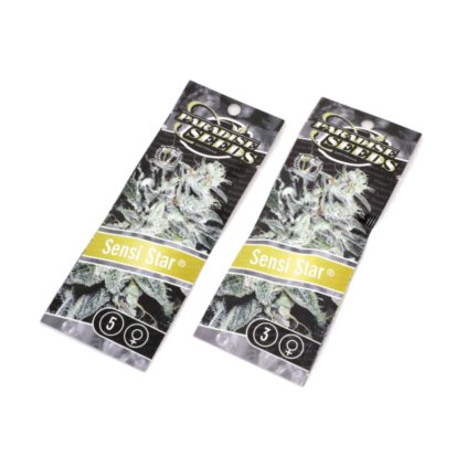 Sensi Star – feminizovaná semena | Paradise Seeds