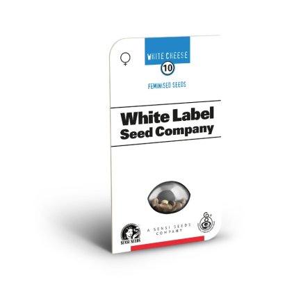 0000030 white cheese feminized seeds by white label 800